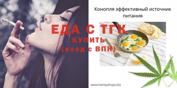 индика Баксан