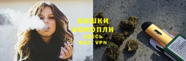 индика Баксан