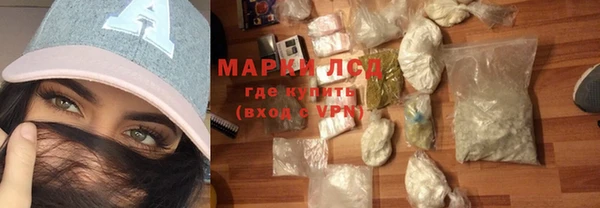 индика Баксан