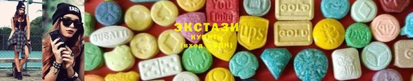 индика Баксан