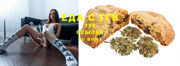 индика Баксан