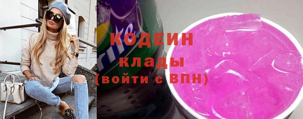 индика Баксан